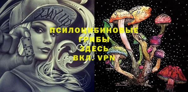 PSILOCYBIN Бугульма