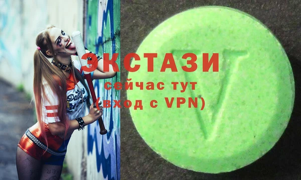 гидра Богородск
