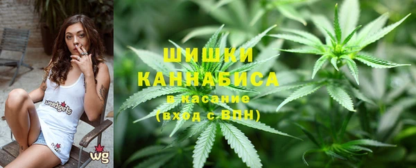 бошки Медногорск