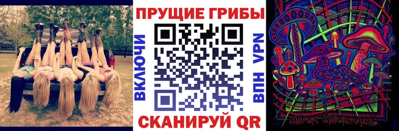 Галлюциногенные грибы Psilocybine cubensis  наркота  Бологое 