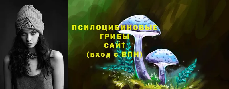 Галлюциногенные грибы MAGIC MUSHROOMS  omg tor  Бологое 