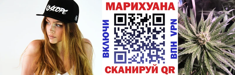 Марихуана план  Бологое 